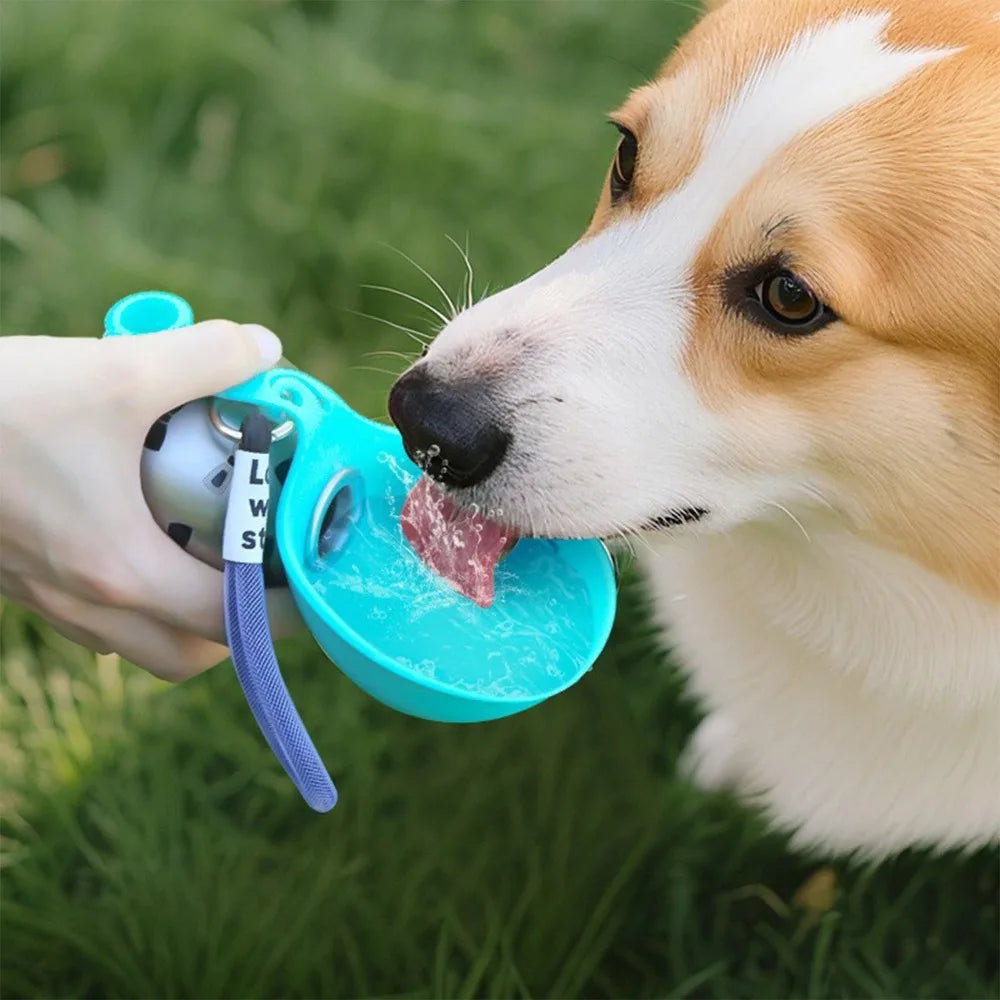 Gourde pour Chien – Bol Silicone Amovible 285ml | Acier Inoxydable | Idéale pour les Balades